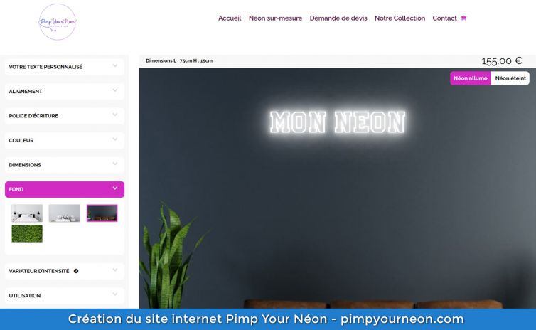 Création site internet Pimp Your Néon